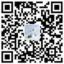 Wechat QR code